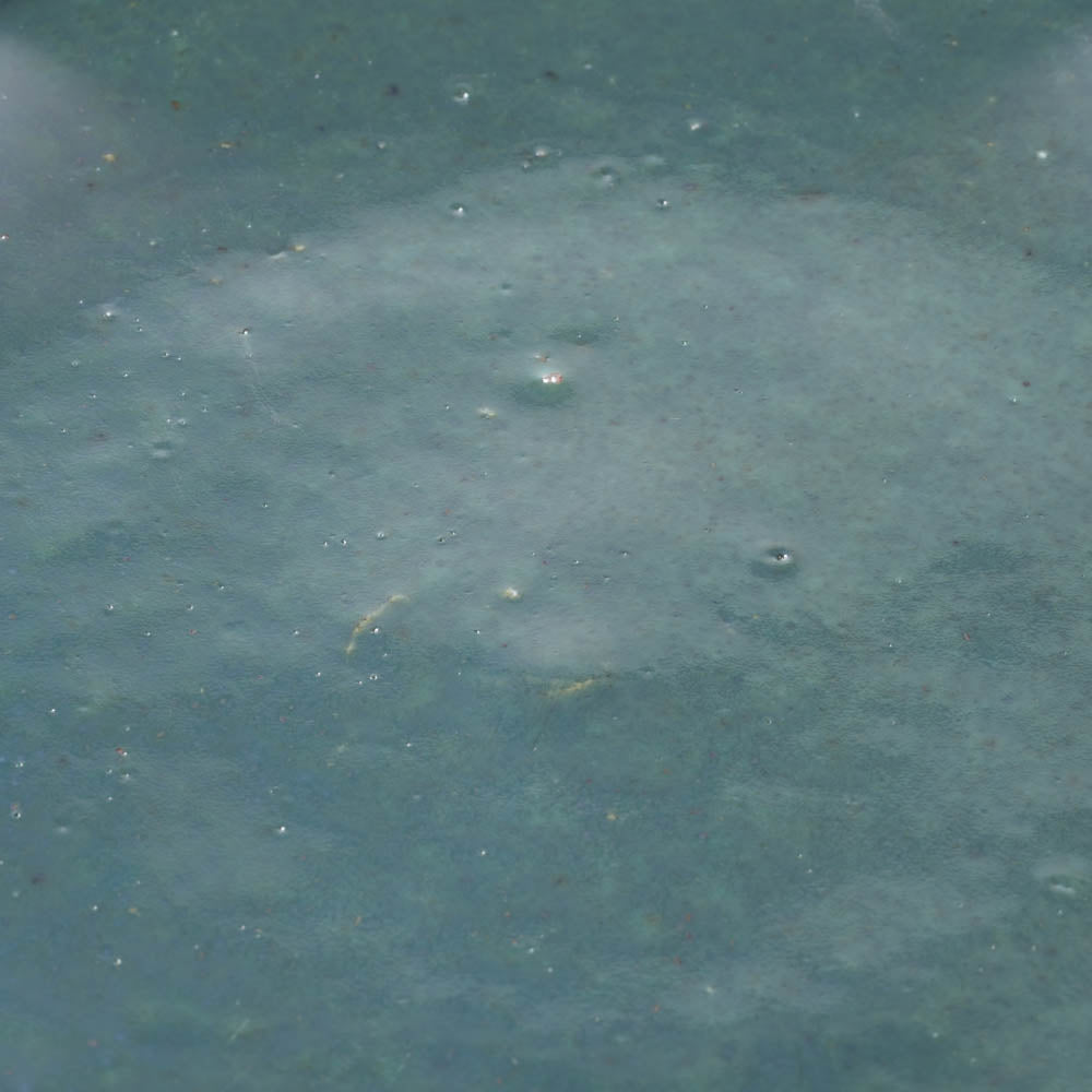 小代焼 小代本谷ちひろ窯 リム緑釉皿 中 小代焼 小代本谷ちひろ窯 小代焼