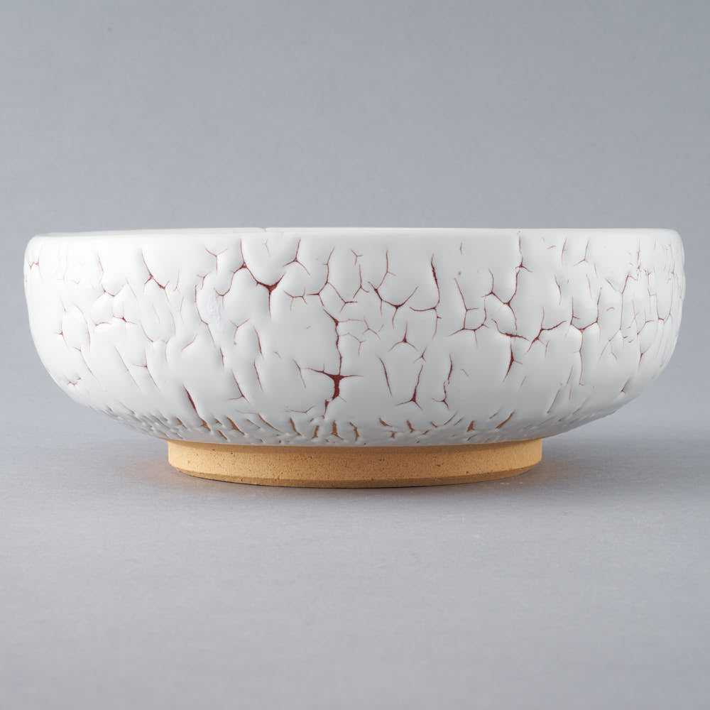 日ノ出窯 龍爪梅花皮 鉢 赤 (17cm) 日ノ出窯 陶磁器作家もの