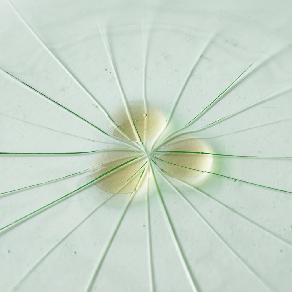 ガラス作家 佐々木翔子 花形小皿 ライトグリーン ガラス作家 佐々木翔子 ガラスもの