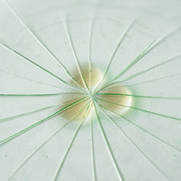 ガラス作家 佐々木翔子 花形小皿 ライトグリーン ガラス作家 佐々木翔子 ガラスもの