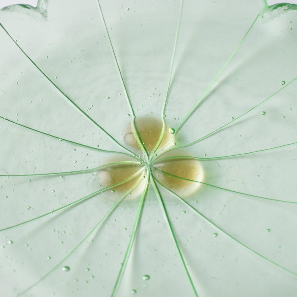 ガラス作家 佐々木翔子 花形豆皿 ライトグリーン ガラス作家 佐々木翔子 ガラスもの