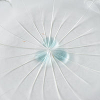 ガラス作家 佐々木翔子 花形豆皿 クリア ガラス作家 佐々木翔子 ガラスもの