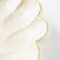 カネコ小兵製陶所 リンカ 白練 21プレート 美濃焼 カネコ小兵製陶所 美濃焼