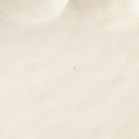 カネコ小兵製陶所 リンカ 白練 21プレート 美濃焼 カネコ小兵製陶所 美濃焼