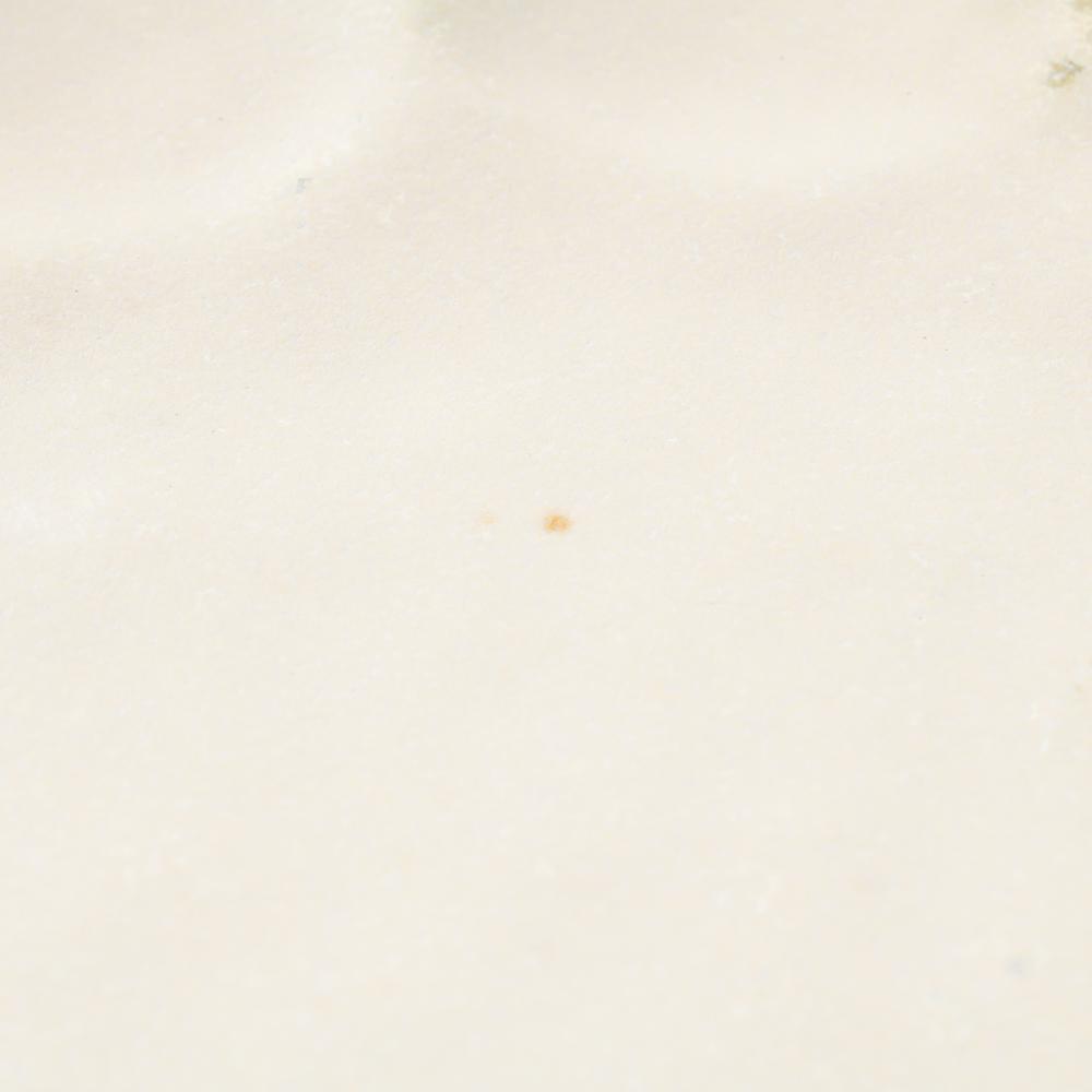 カネコ小兵製陶所 リンカ 白練 24プレート 美濃焼 カネコ小兵製陶所 美濃焼