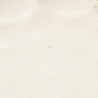 カネコ小兵製陶所 リンカ 白練 24プレート 美濃焼 カネコ小兵製陶所 美濃焼