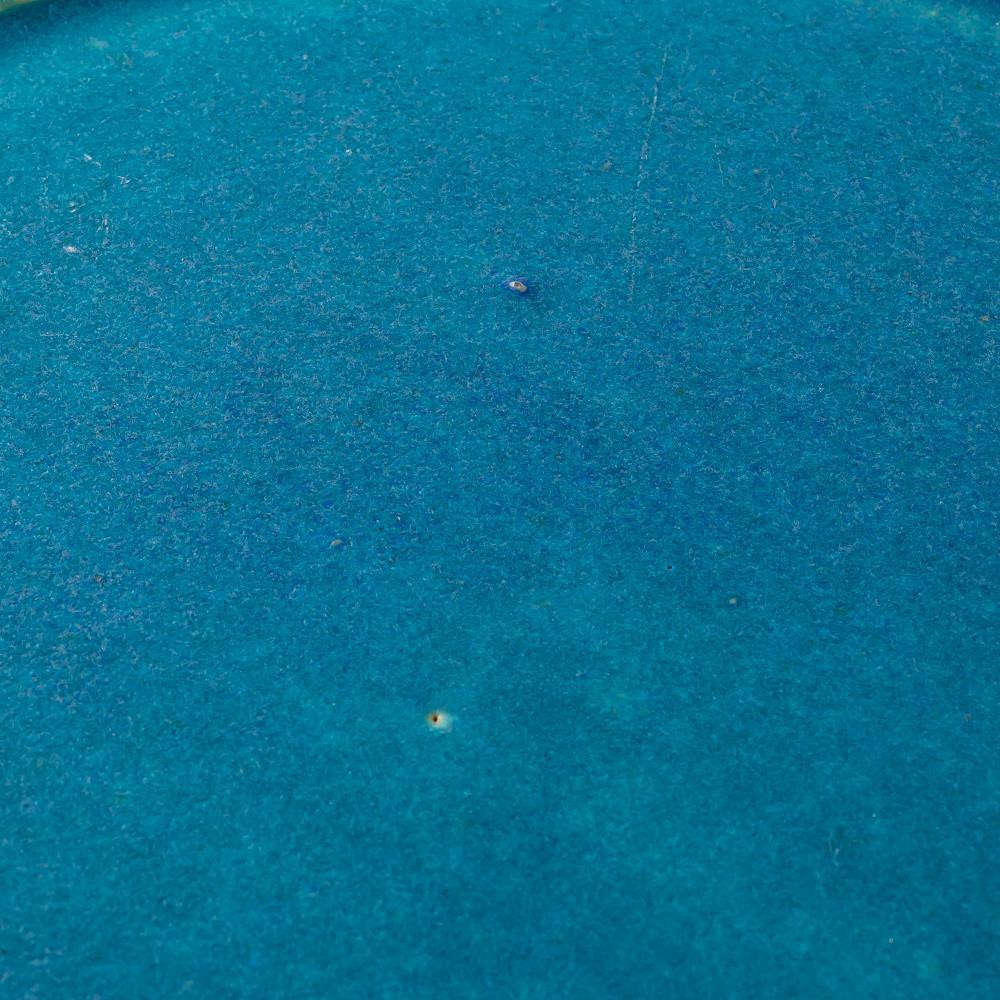 信楽焼 遊楽窯 トルコブルー リムプレート(大) 信楽焼 遊楽窯 信楽焼