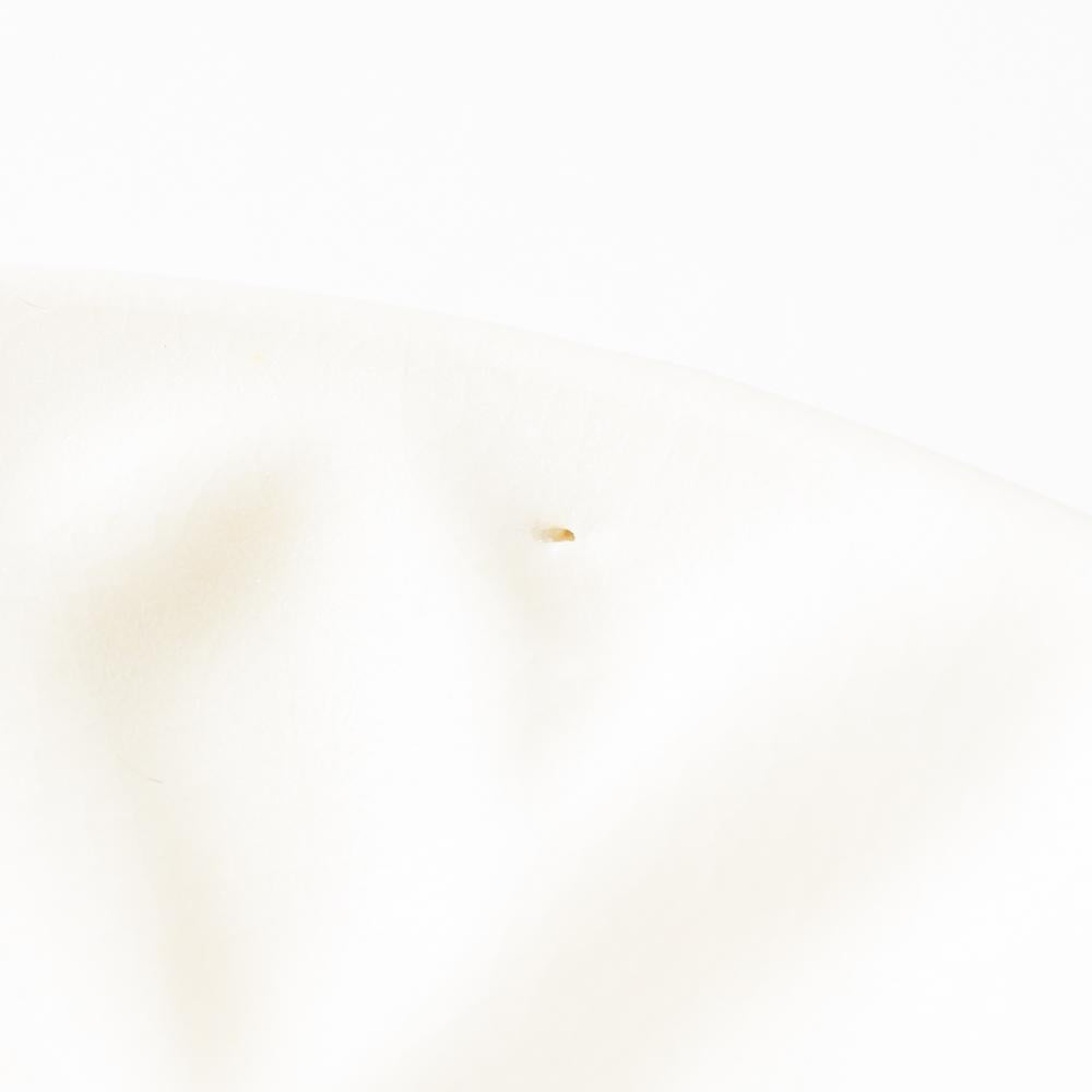 yoshida pottery 豆皿 恋人white yoshida pottery 陶磁器作家もの