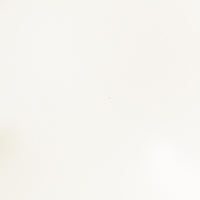 yoshida pottery 梅鉢 恋人white yoshida pottery 陶磁器作家もの