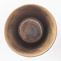 有田焼 金照堂 麟Lin New York Earth カップ 有田焼 金照堂 有田焼