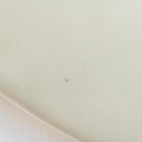 作家 柴田礼美 しずく皿20-ライオン/ホワイト 作家 柴田礼美 陶磁器作家もの