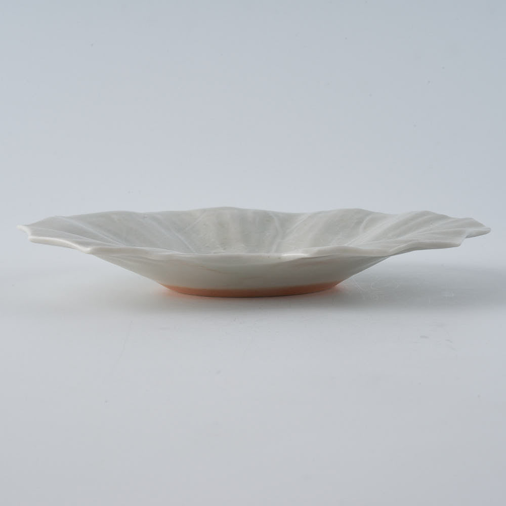 作家　前田麻美　灰青釉 石蕗の葉 四寸皿
