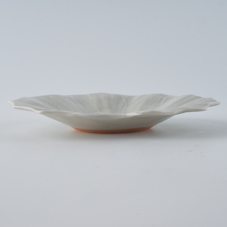 作家　前田麻美　灰青釉 石蕗の葉 四寸皿