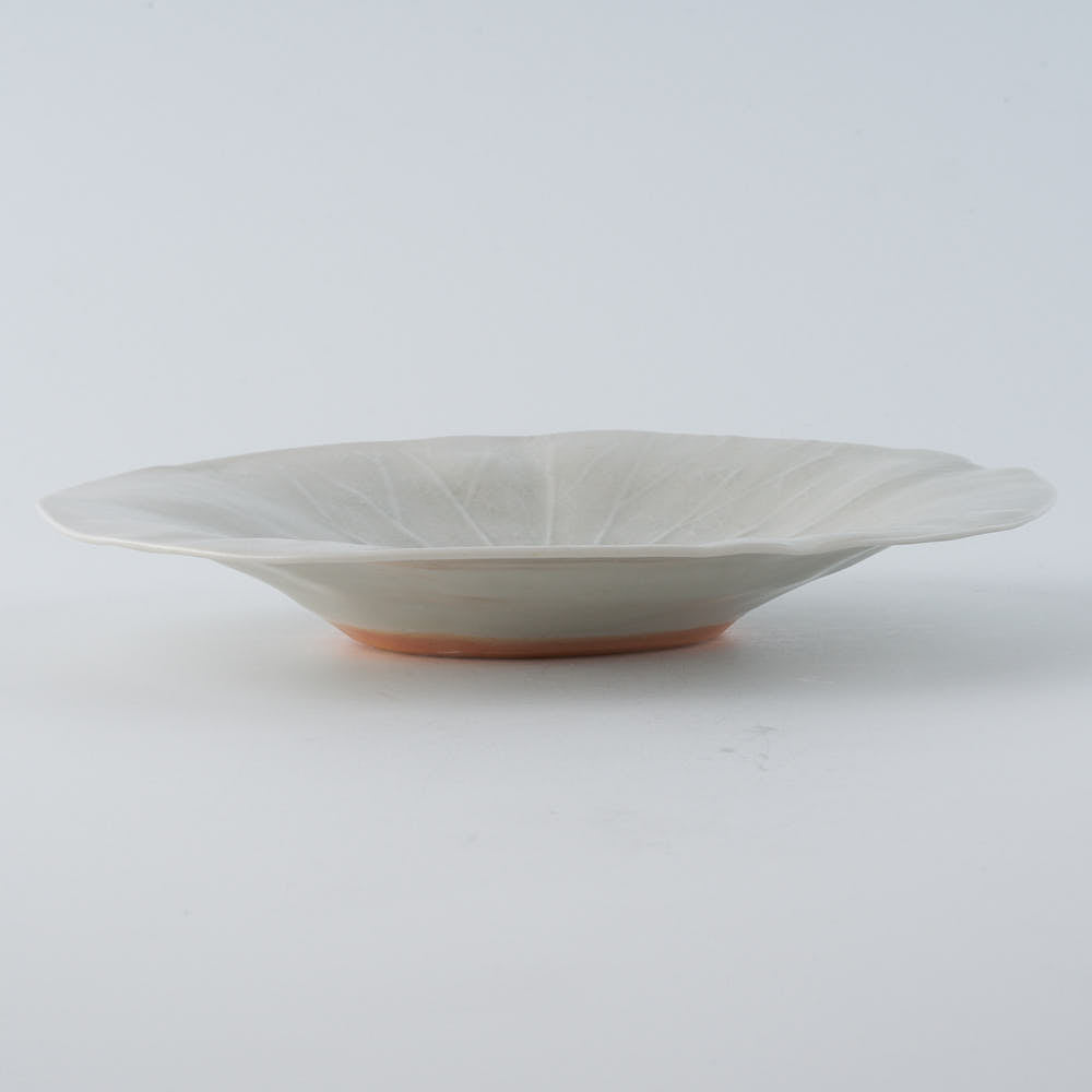 作家　前田麻美　灰青釉 蓮の葉 六寸皿 作家　前田麻美 陶磁器作家もの