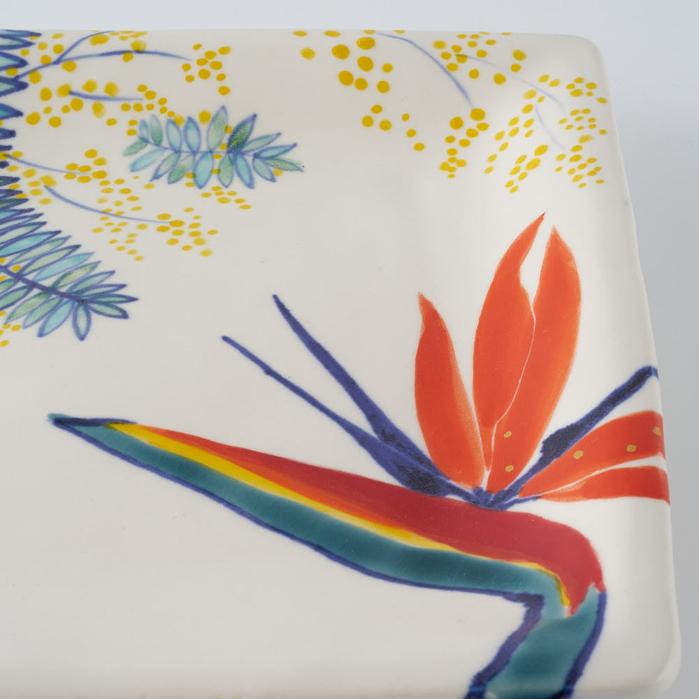 作家　武田朋己　角皿　ミモザと極楽鳥花