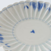 作家　鈴木まどか　安南菊割五寸浅鉢