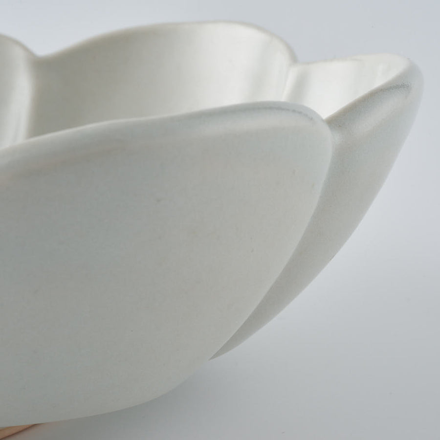 作家　鈴木まどか　白瓷菊割楕円大鉢