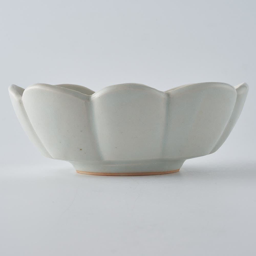 作家　鈴木まどか　白瓷菊割楕円中鉢