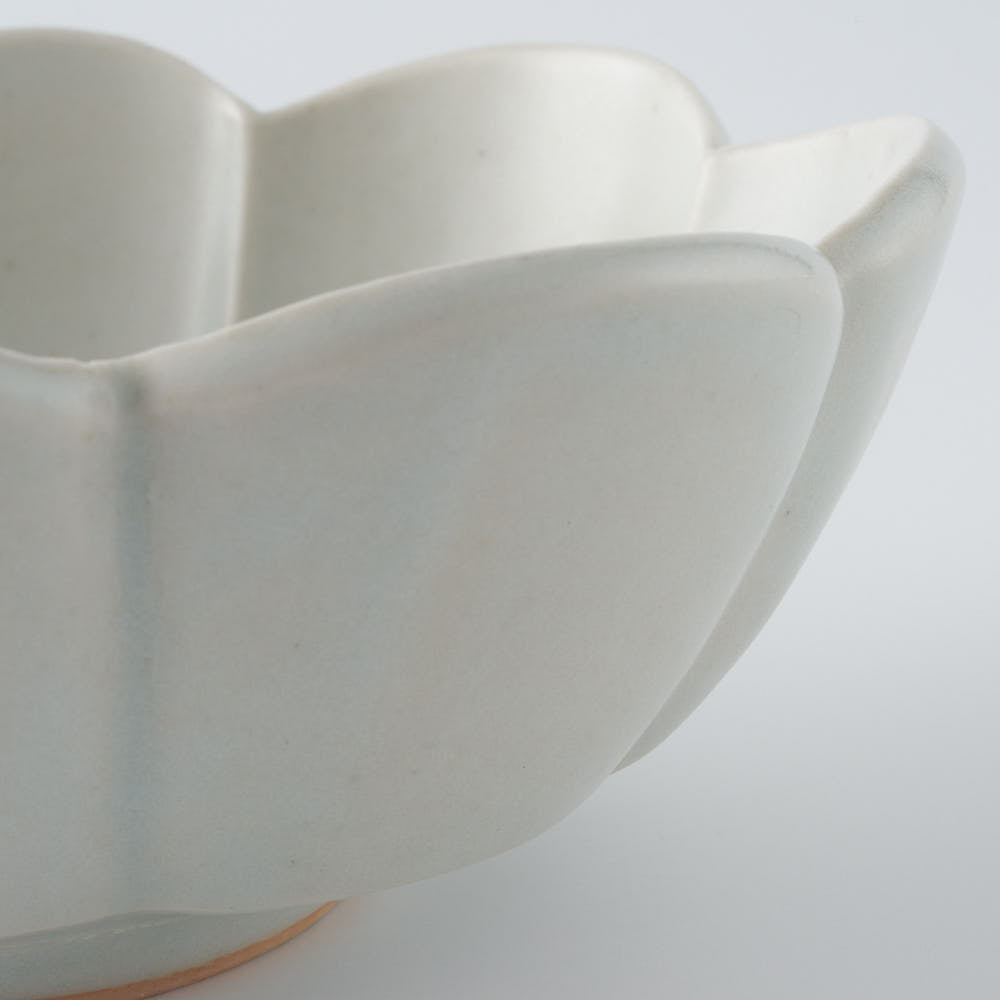 作家　鈴木まどか　白瓷菊割楕円中鉢