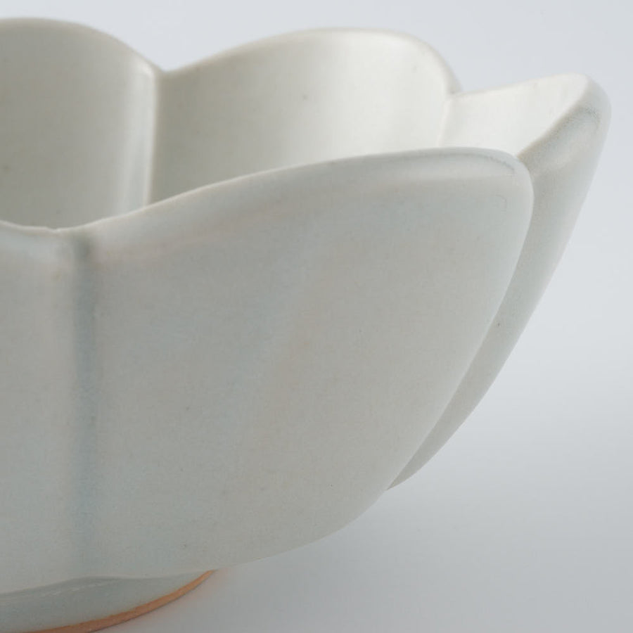 作家　鈴木まどか　白瓷菊割楕円中鉢