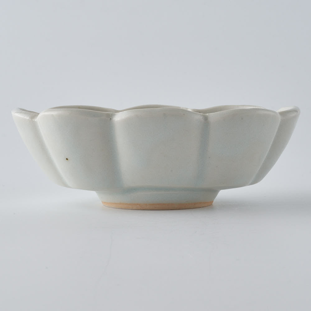 作家　鈴木まどか　白瓷菊割楕円豆鉢