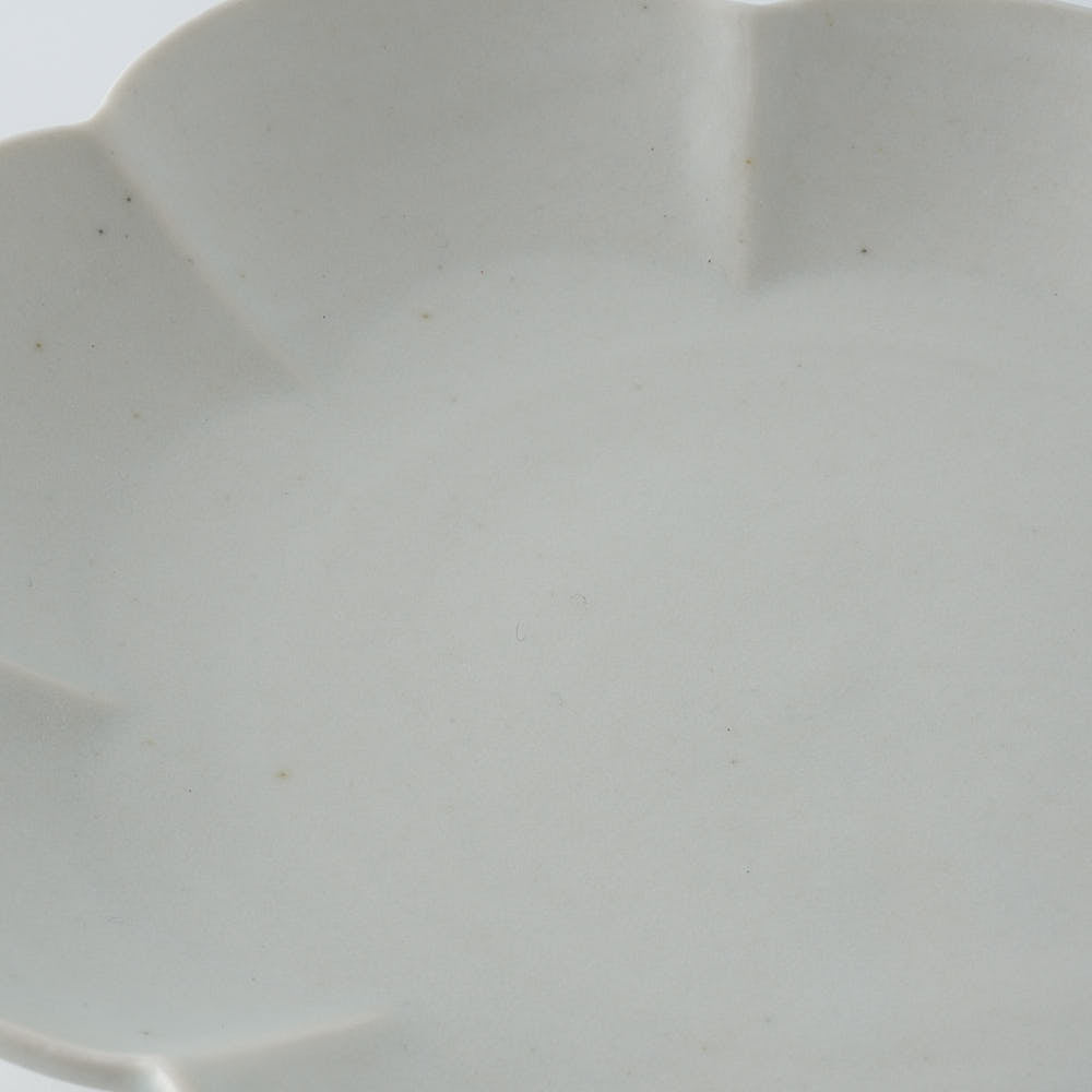 作家　鈴木まどか　白瓷菊割楕円皿