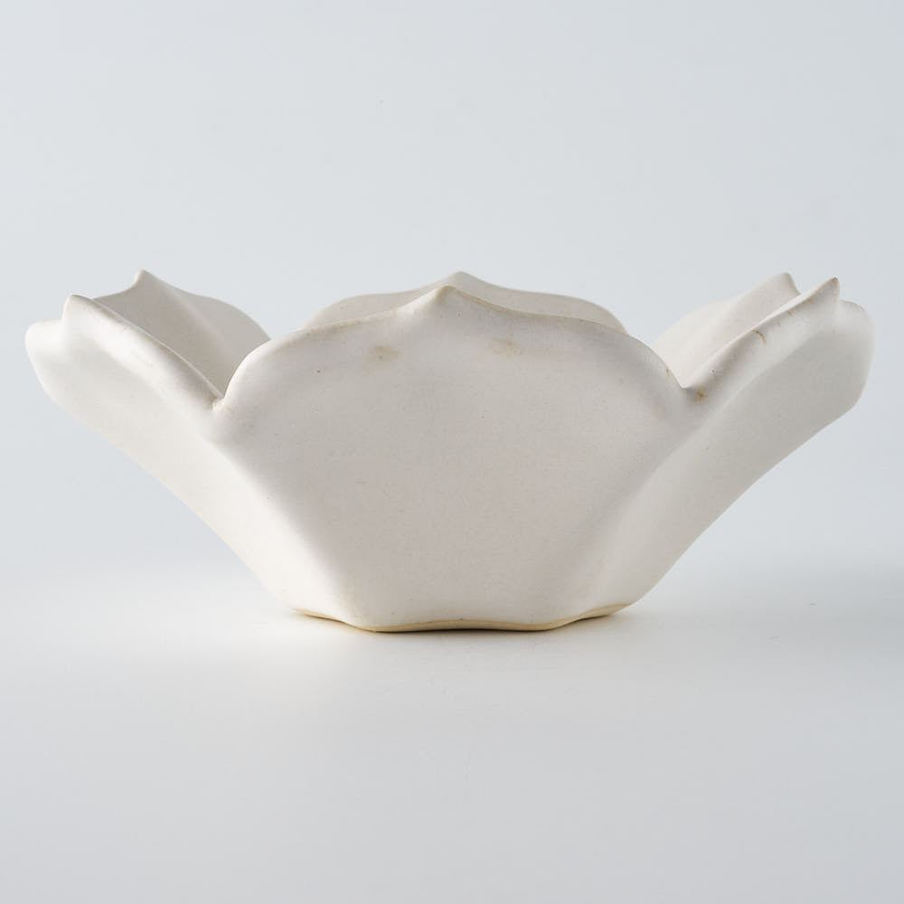 作家　水谷ちえみ　小鉢　フリル　角