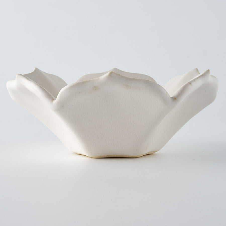 作家　水谷ちえみ　小鉢　フリル　角