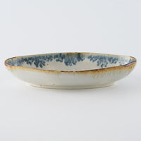 作家　市野吉記　安南手　ラヴィエ21.5cm（虎）　15