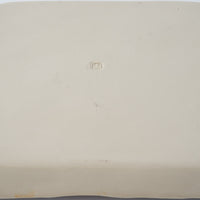 作家　大場紀穂子　虎いっぱいの角皿