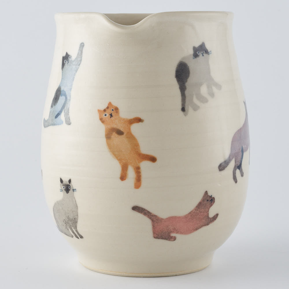 作家　大場紀穂子　ねこいっぱいのピッチャー