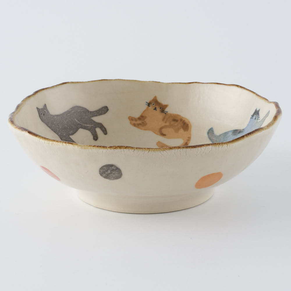 作家　大場紀穂子　猫いっぱいの鉢