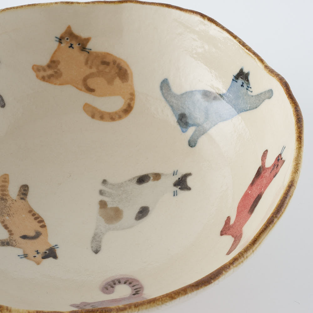 作家　大場紀穂子　猫いっぱいの鉢