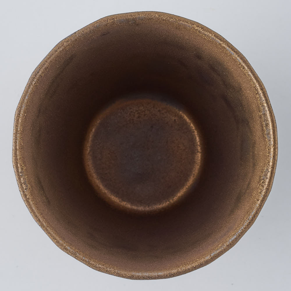 有田焼　金照堂　麟Lin New York Earth カップ