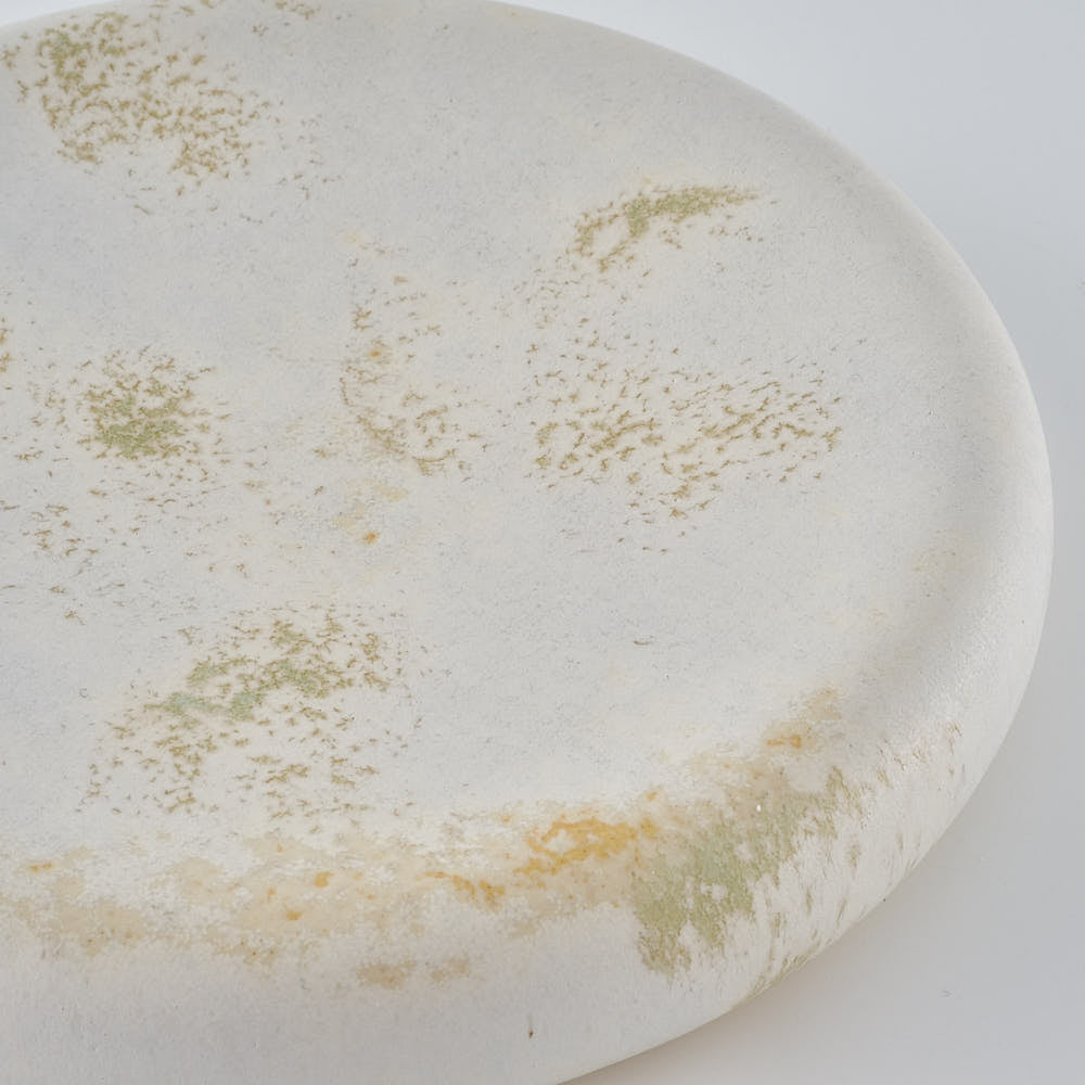 作家　堀有一郎　U-TU-RO PLATE　ボタニカルグリーン 作家　堀有一郎 陶磁器作家もの