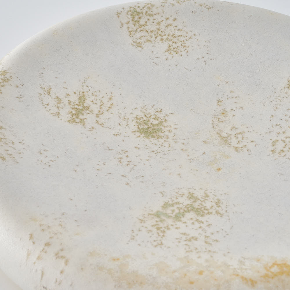 作家　堀有一郎　U-TU-RO PLATE　ボタニカルグリーン 作家　堀有一郎 陶磁器作家もの